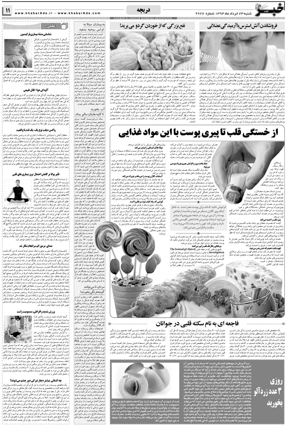 مشاهده صفحه ۱۱ روزنامه خبرجنوب تاریخ ۲۳  سال ۱۳۹۴