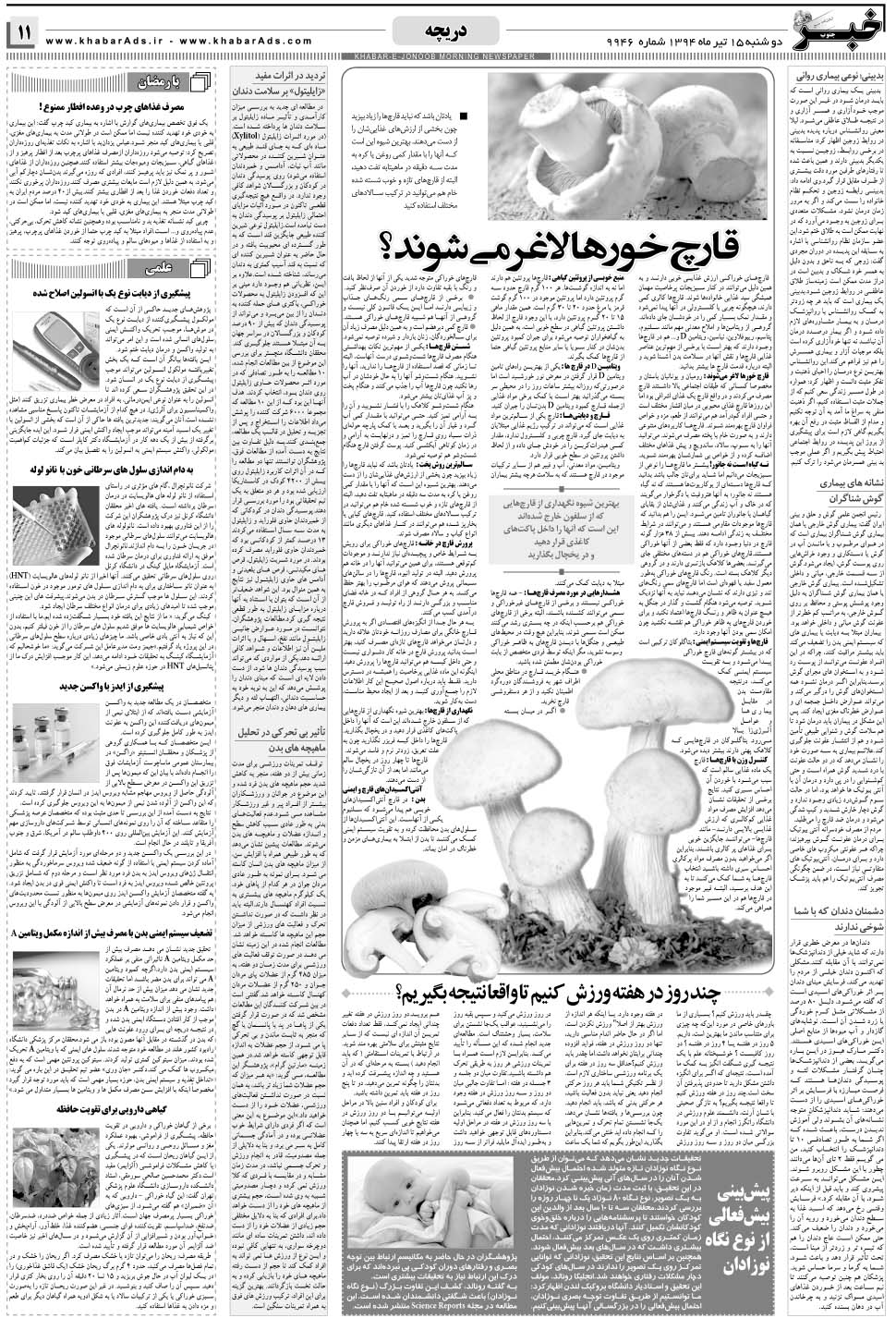 مشاهده صفحه ۱۱ روزنامه خبرجنوب تاریخ ۱۵  سال ۱۳۹۴
