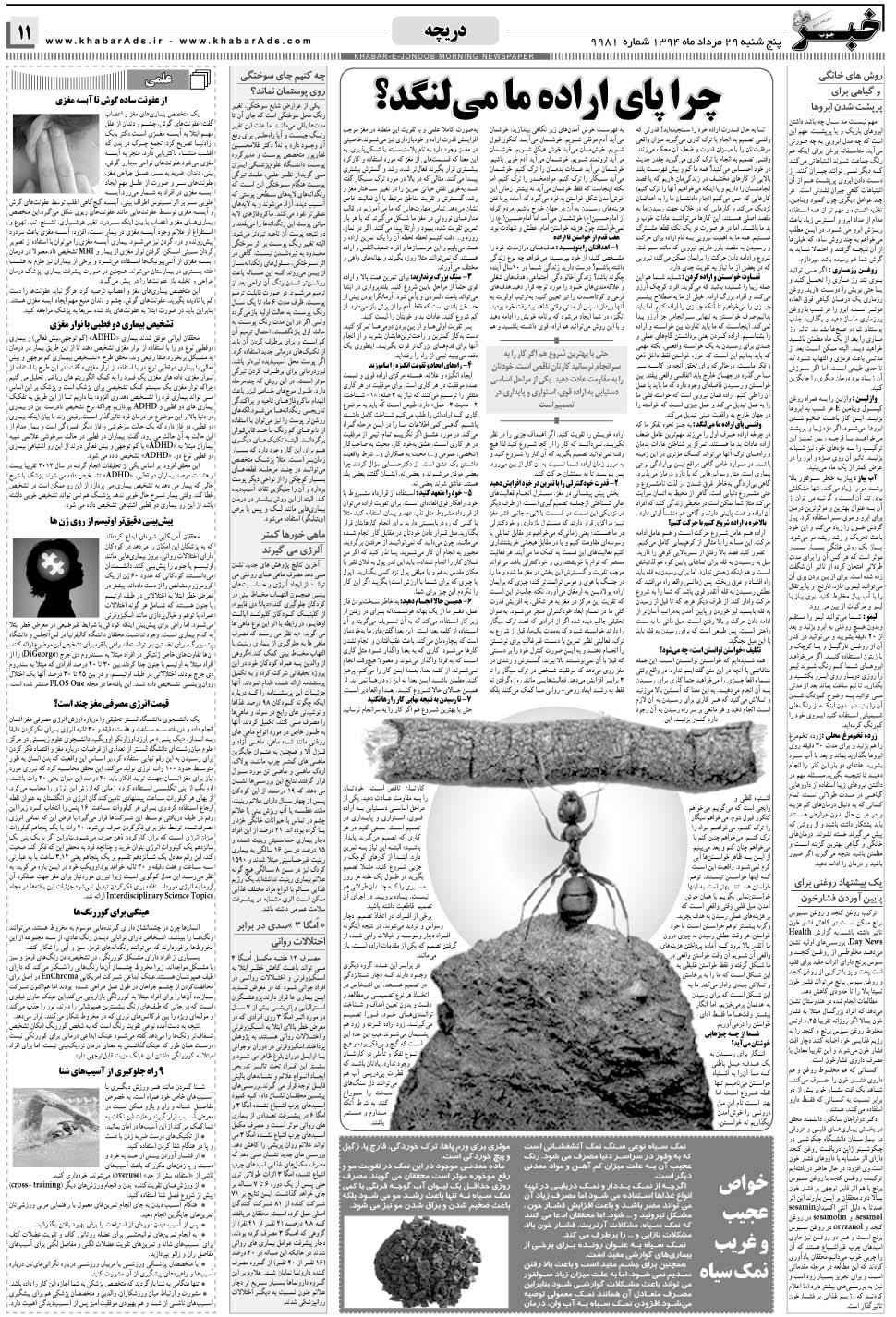 مشاهده صفحه ۱۱ روزنامه خبرجنوب تاریخ ۲۹  سال ۱۳۹۴