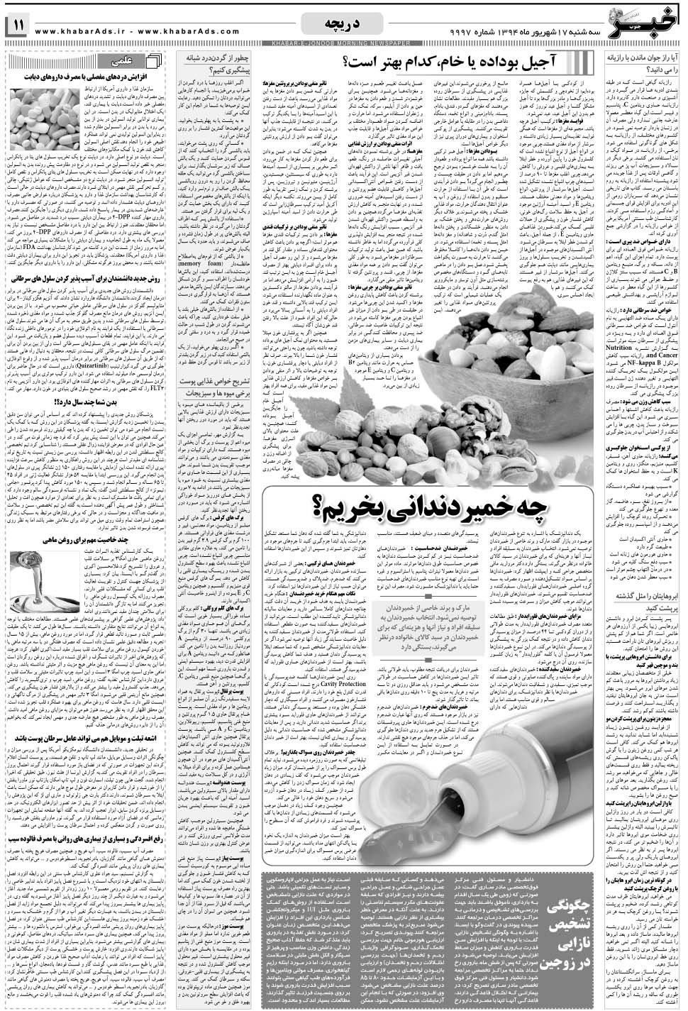 مشاهده صفحه ۱۱ روزنامه خبرجنوب تاریخ ۱۷  سال ۱۳۹۴