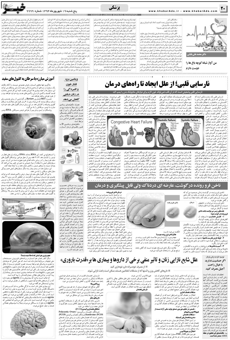 مشاهده صفحه ۲۰ روزنامه خبرجنوب تاریخ ۱۹  سال ۱۳۹۴