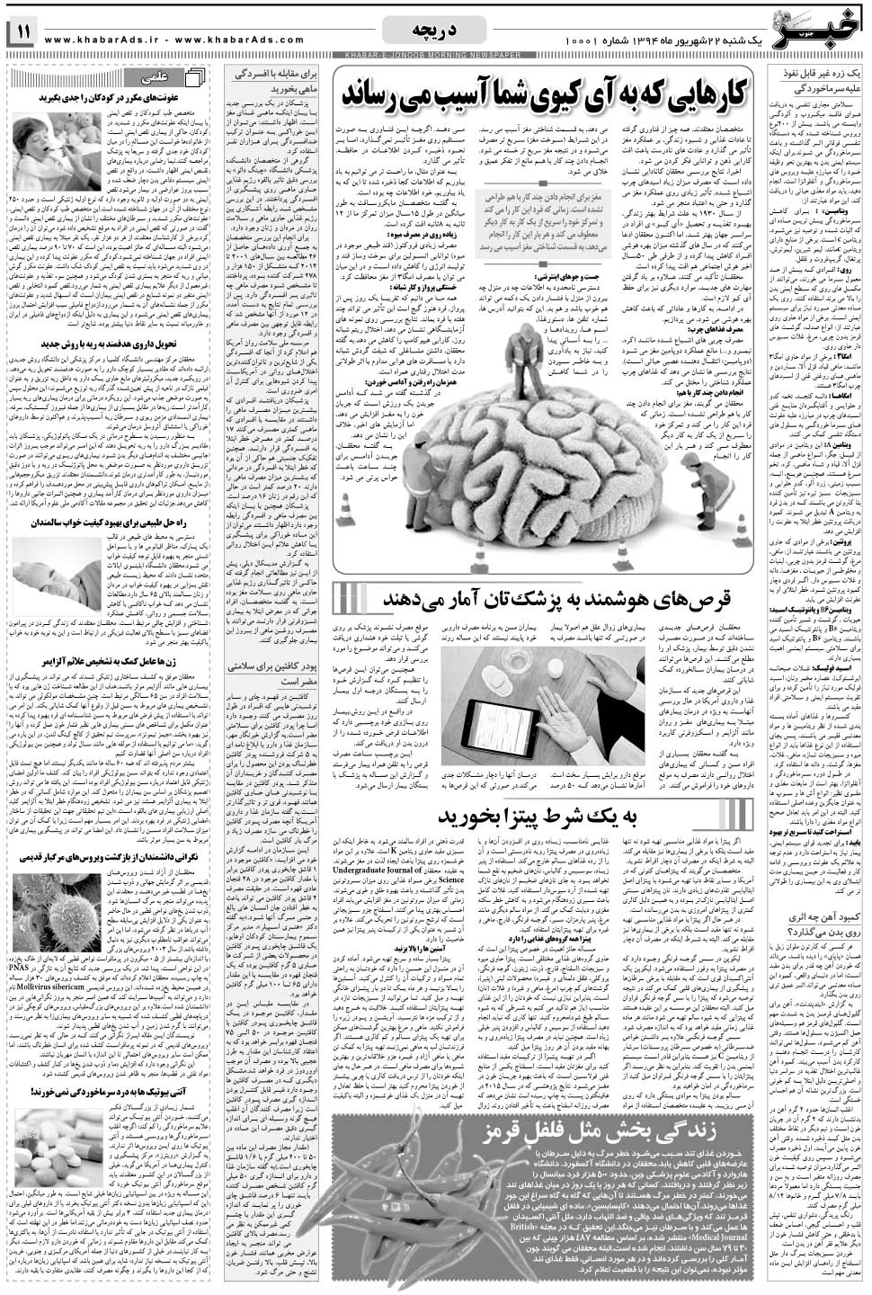 مشاهده صفحه ۱۱ روزنامه خبرجنوب تاریخ ۲۲  سال ۱۳۹۴