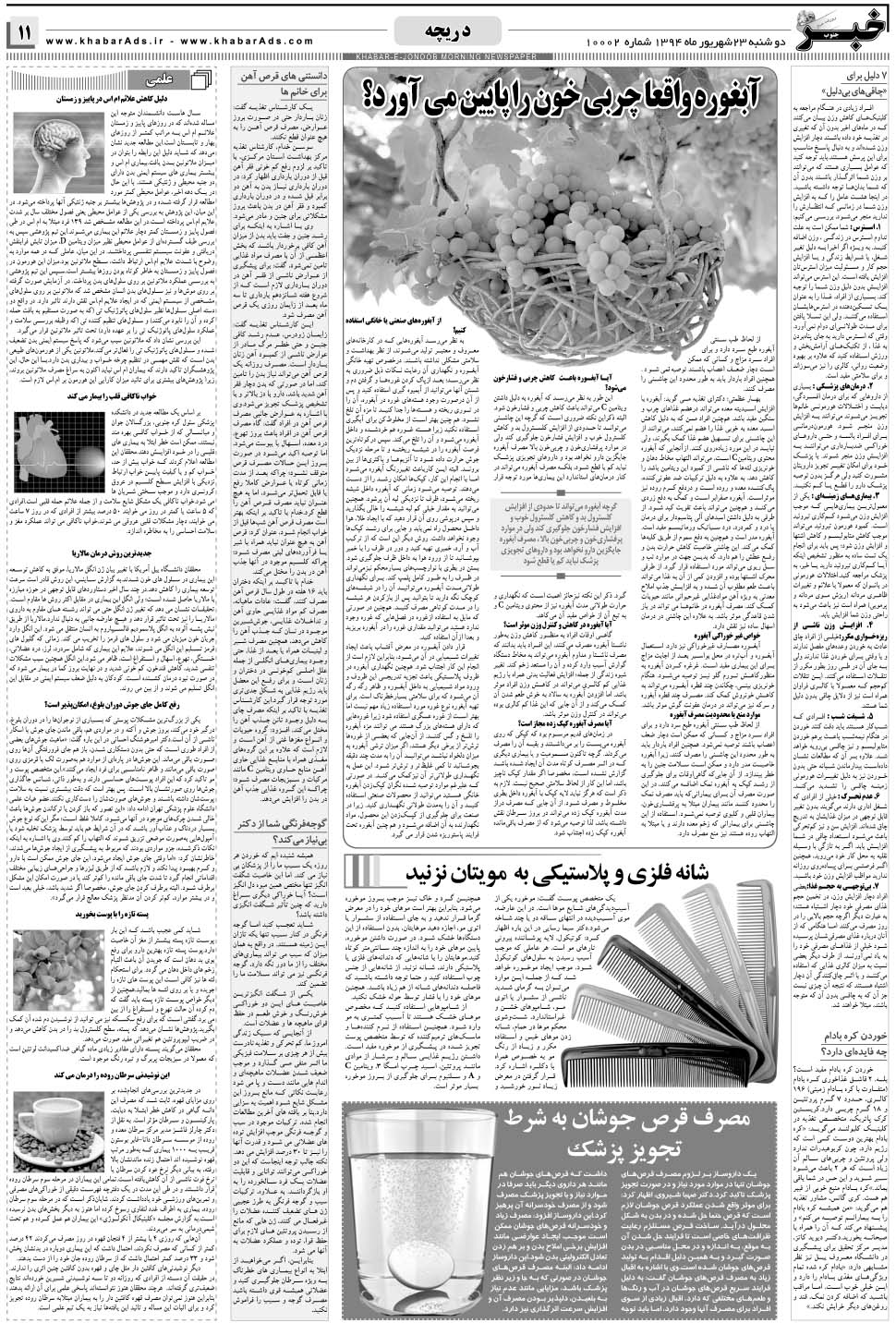مشاهده صفحه ۱۱ روزنامه خبرجنوب تاریخ ۲۳  سال ۱۳۹۴