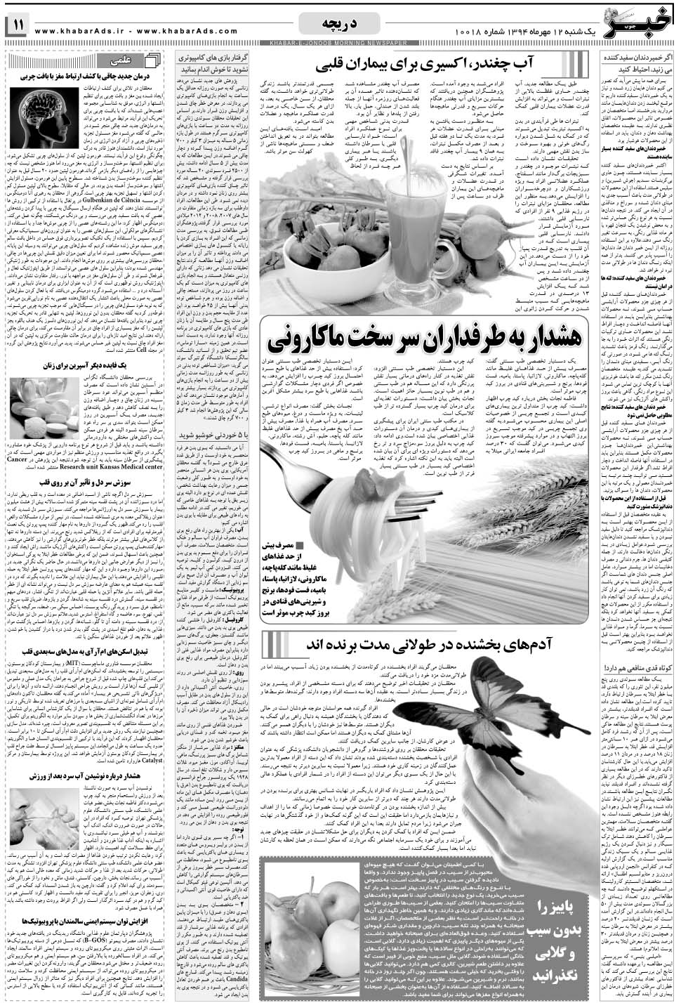 مشاهده صفحه ۱۱ روزنامه خبرجنوب تاریخ ۱۲  سال ۱۳۹۴