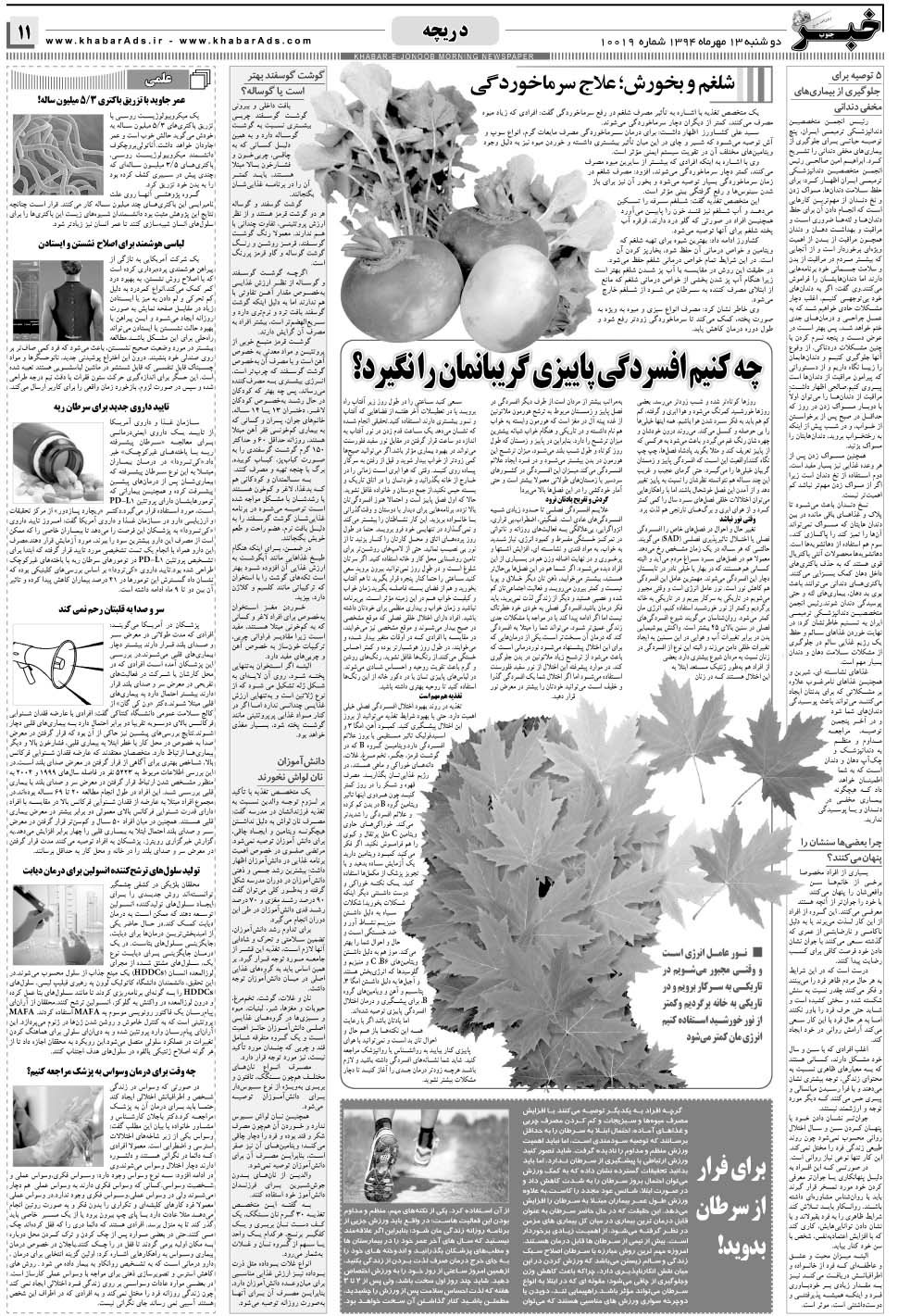 مشاهده صفحه ۱۱ روزنامه خبرجنوب تاریخ ۱۳  سال ۱۳۹۴