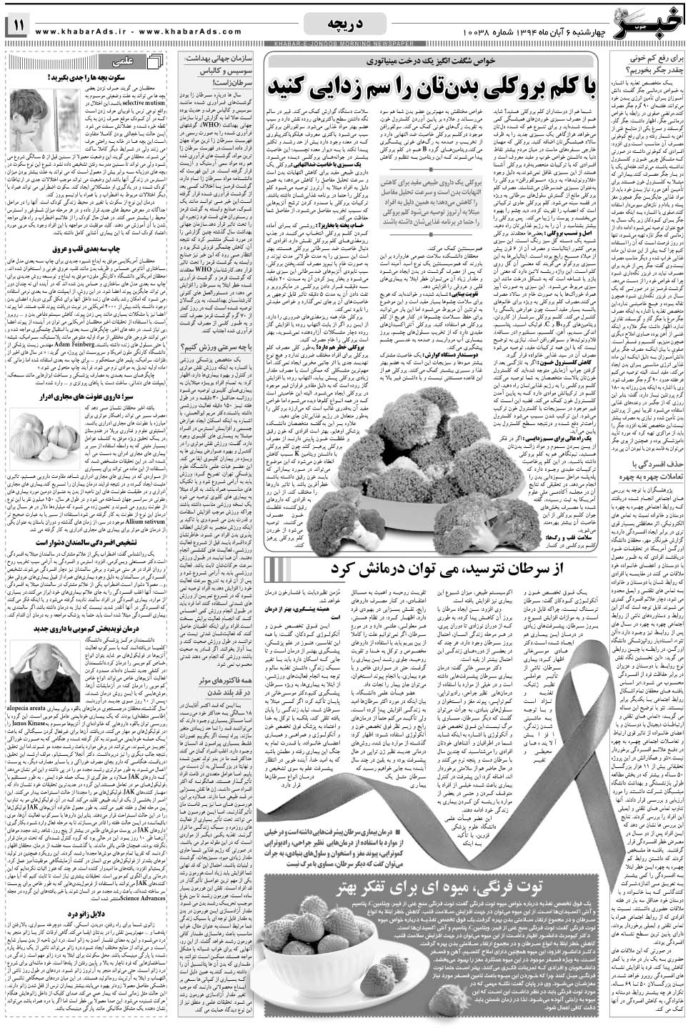 مشاهده صفحه ۱۱ روزنامه خبرجنوب تاریخ ۶  سال ۱۳۹۴