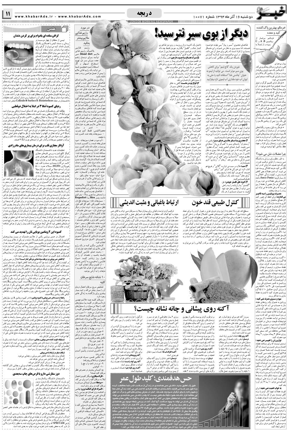 مشاهده صفحه ۱۱ روزنامه خبرجنوب تاریخ ۱۶  سال ۱۳۹۴