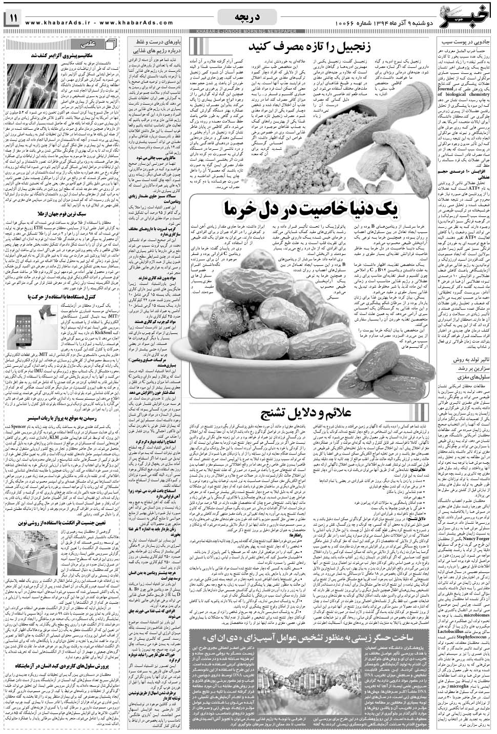 مشاهده صفحه ۱۱ روزنامه خبرجنوب تاریخ ۹  سال ۱۳۹۴