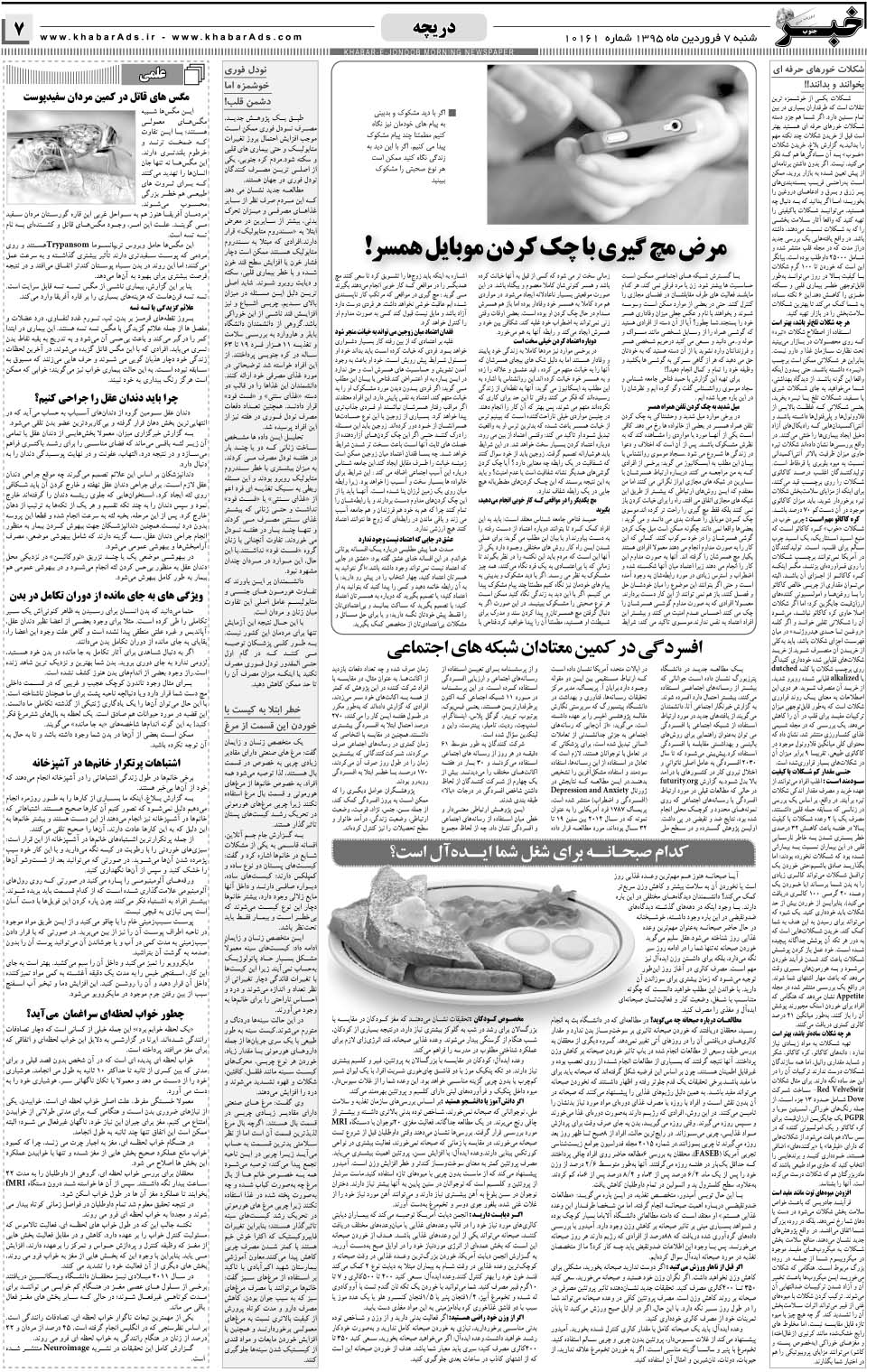 مشاهده صفحه ۷ روزنامه خبرجنوب تاریخ ۷  سال ۱۳۹۵