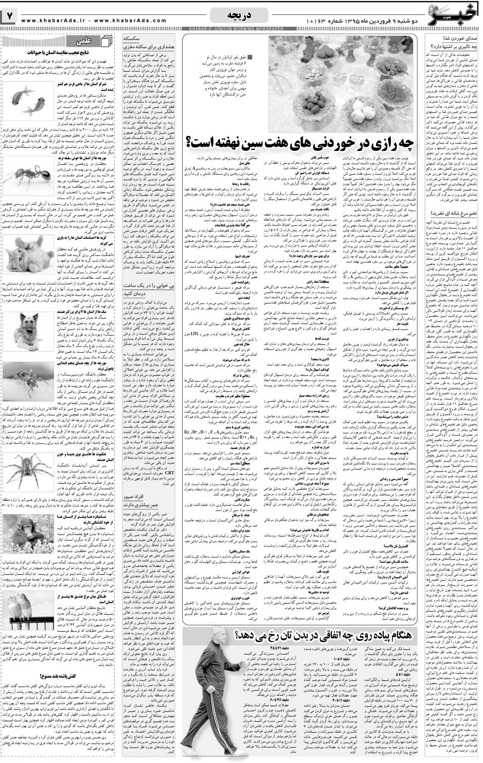 مشاهده صفحه ۷ روزنامه خبرجنوب تاریخ ۹  سال ۱۳۹۵