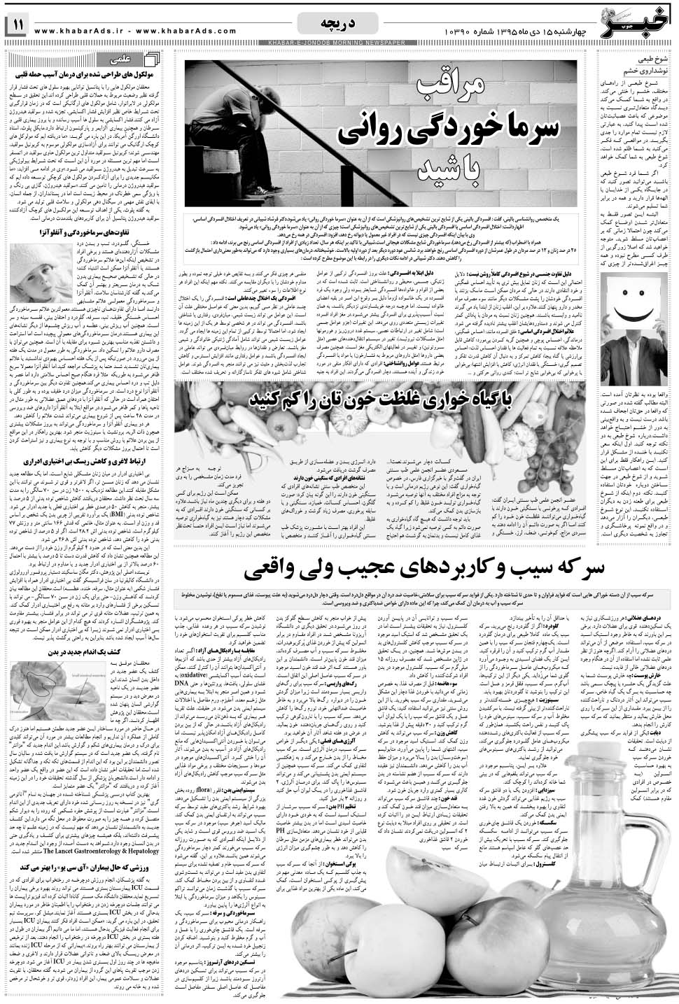 مشاهده صفحه ۱۱ روزنامه خبرجنوب تاریخ ۱۵ دی سال ۱۳۹۵