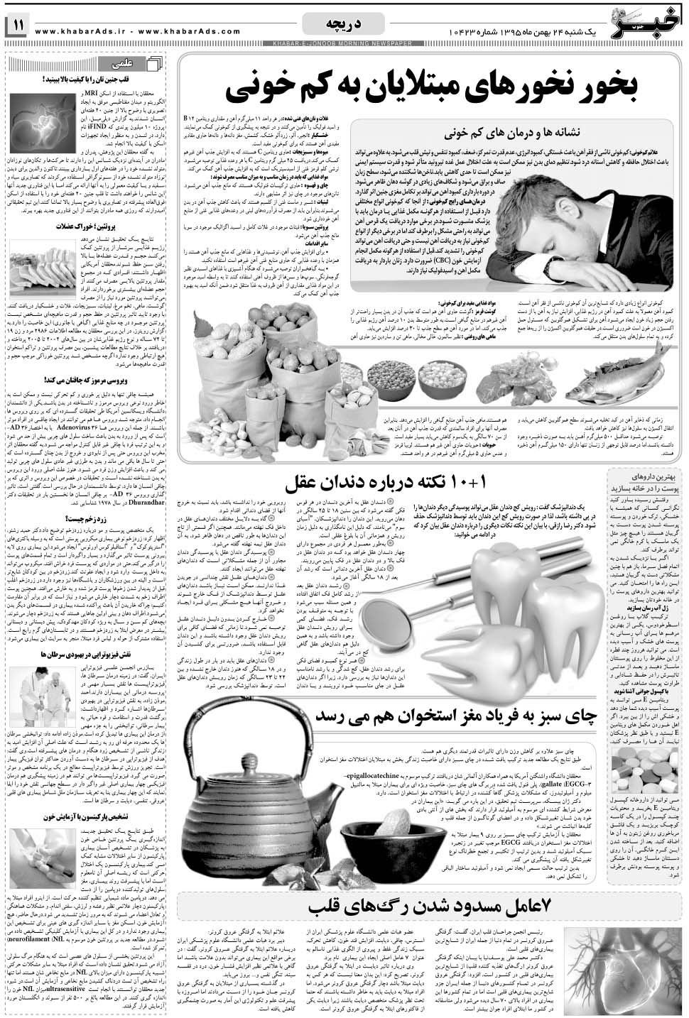 مشاهده صفحه ۱۱ روزنامه خبرجنوب تاریخ ۲۴ بهمن سال ۱۳۹۵