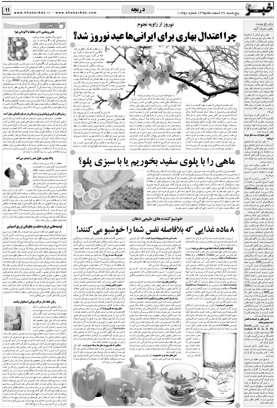 مشاهده صفحه ۱۱ روزنامه خبرجنوب تاریخ ۲۶ اسفند سال ۱۳۹۵