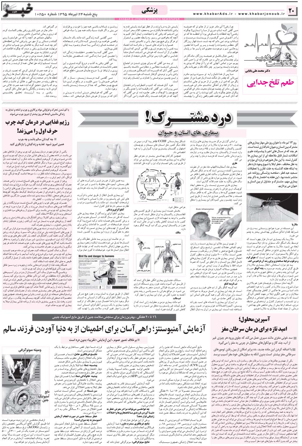 مشاهده صفحه ۲۰ روزنامه خبرجنوب تاریخ ۲۴  سال ۱۳۹۵