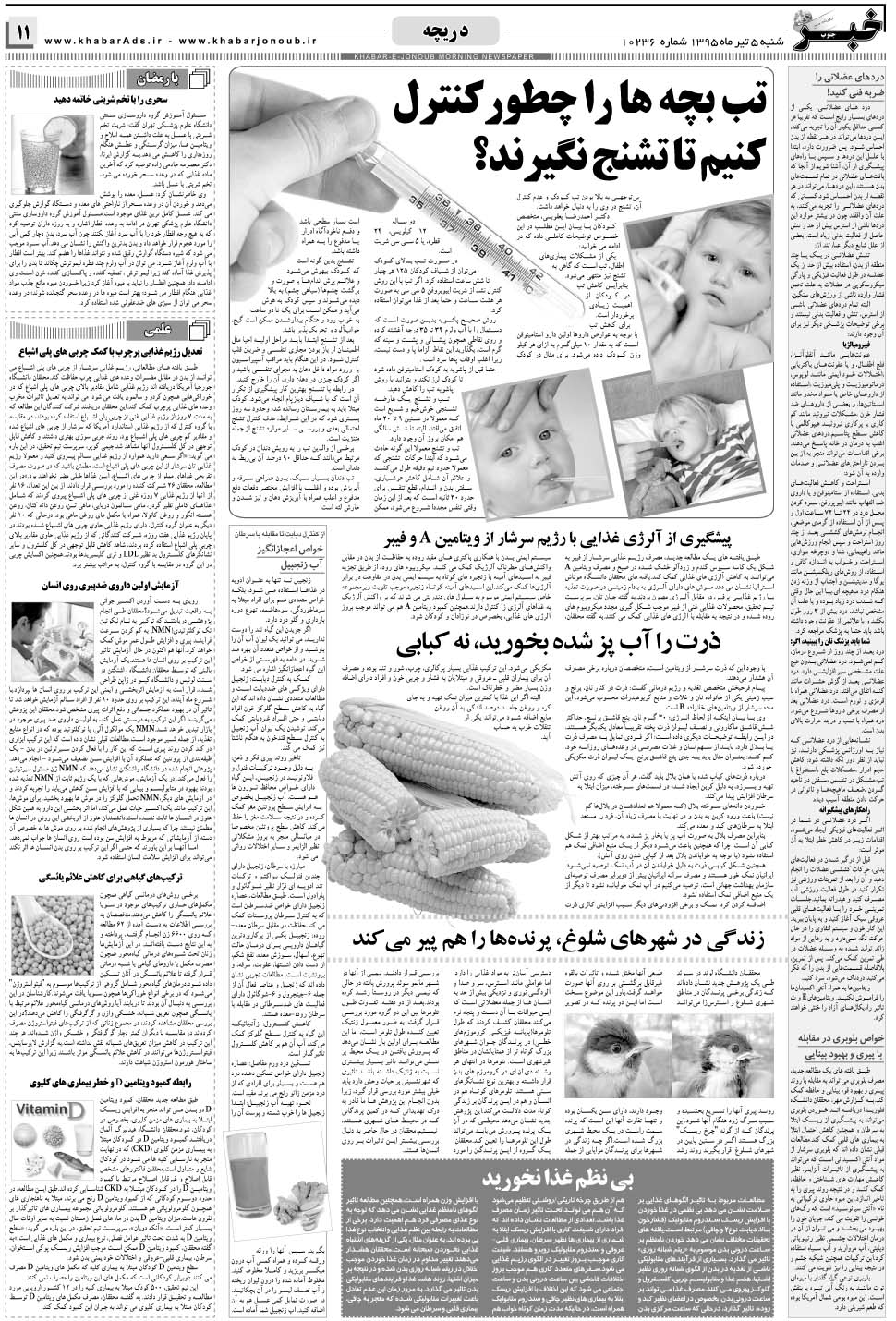 مشاهده صفحه ۱۱ روزنامه خبرجنوب تاریخ ۵  سال ۱۳۹۵