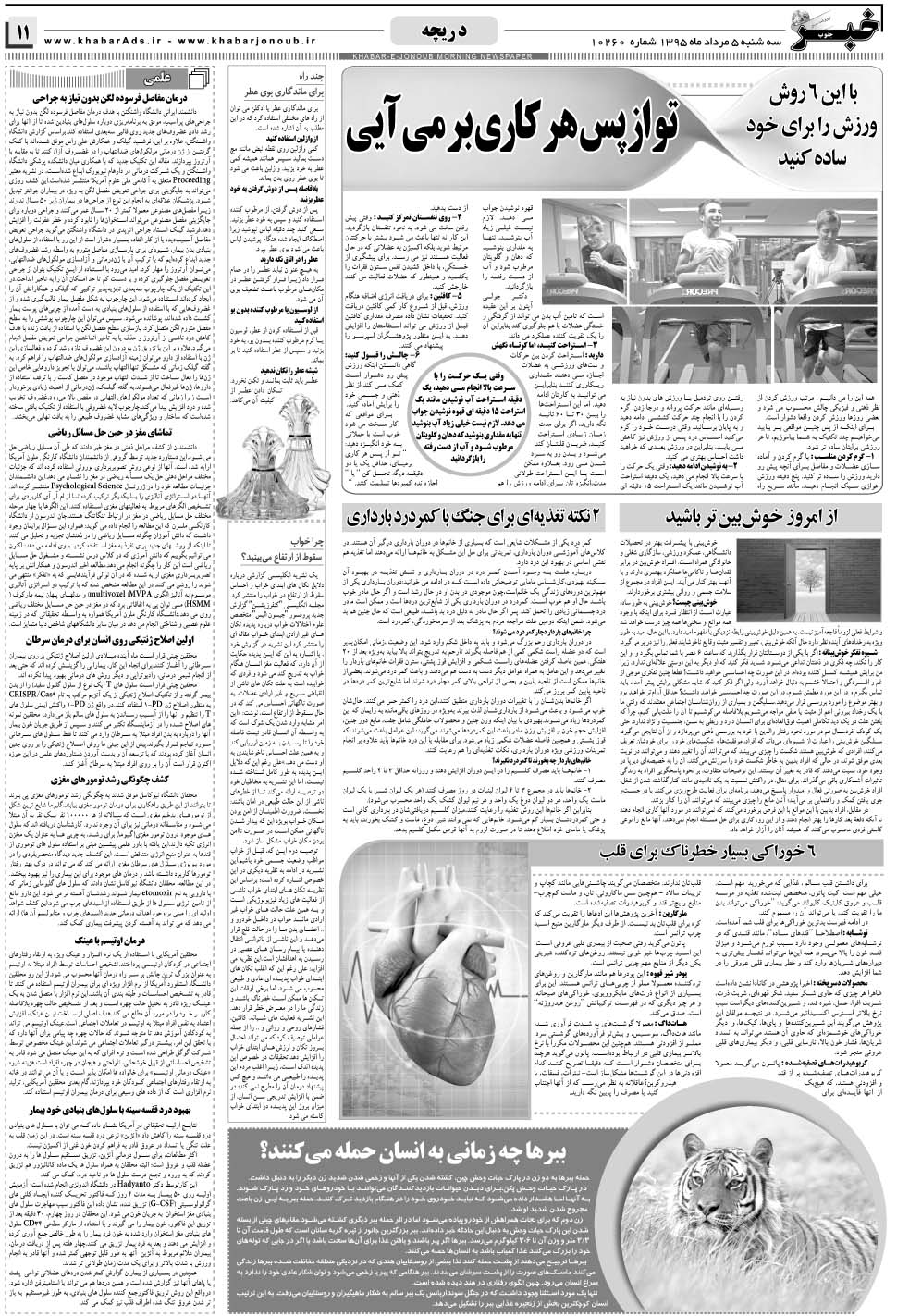 مشاهده صفحه ۱۱ روزنامه خبرجنوب تاریخ ۵  سال ۱۳۹۵