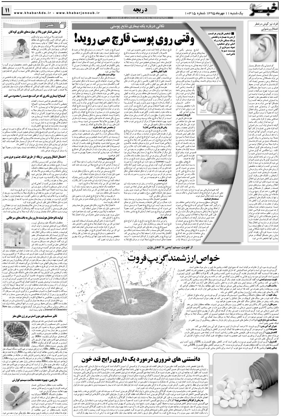 مشاهده صفحه ۱۱ روزنامه خبرجنوب تاریخ ۱۱  سال ۱۳۹۵