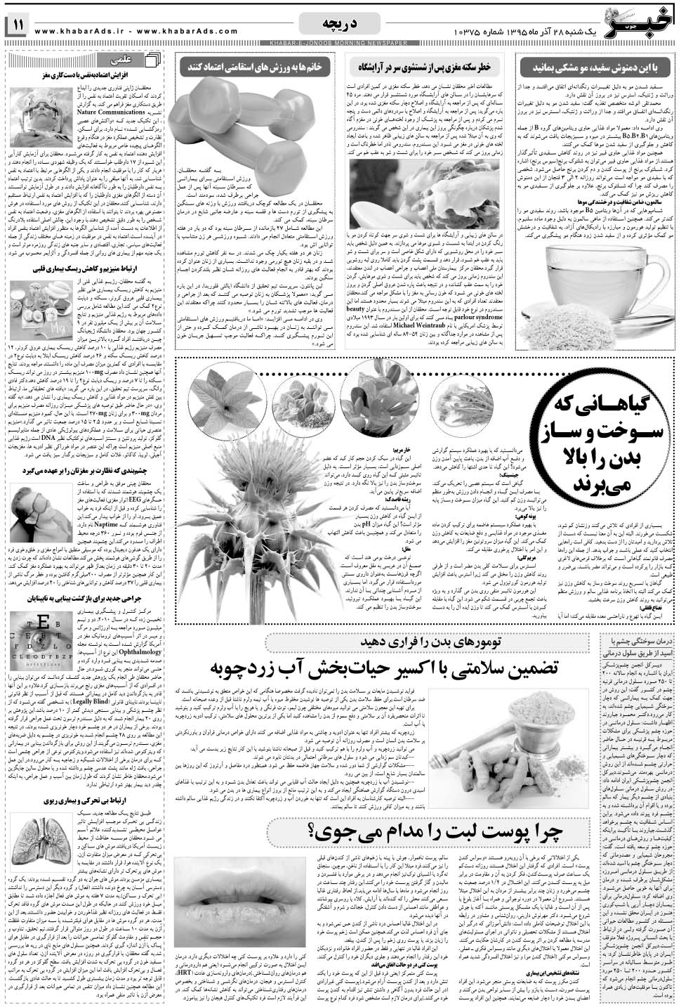 مشاهده صفحه ۱۱ روزنامه خبرجنوب تاریخ ۲۸  سال ۱۳۹۵