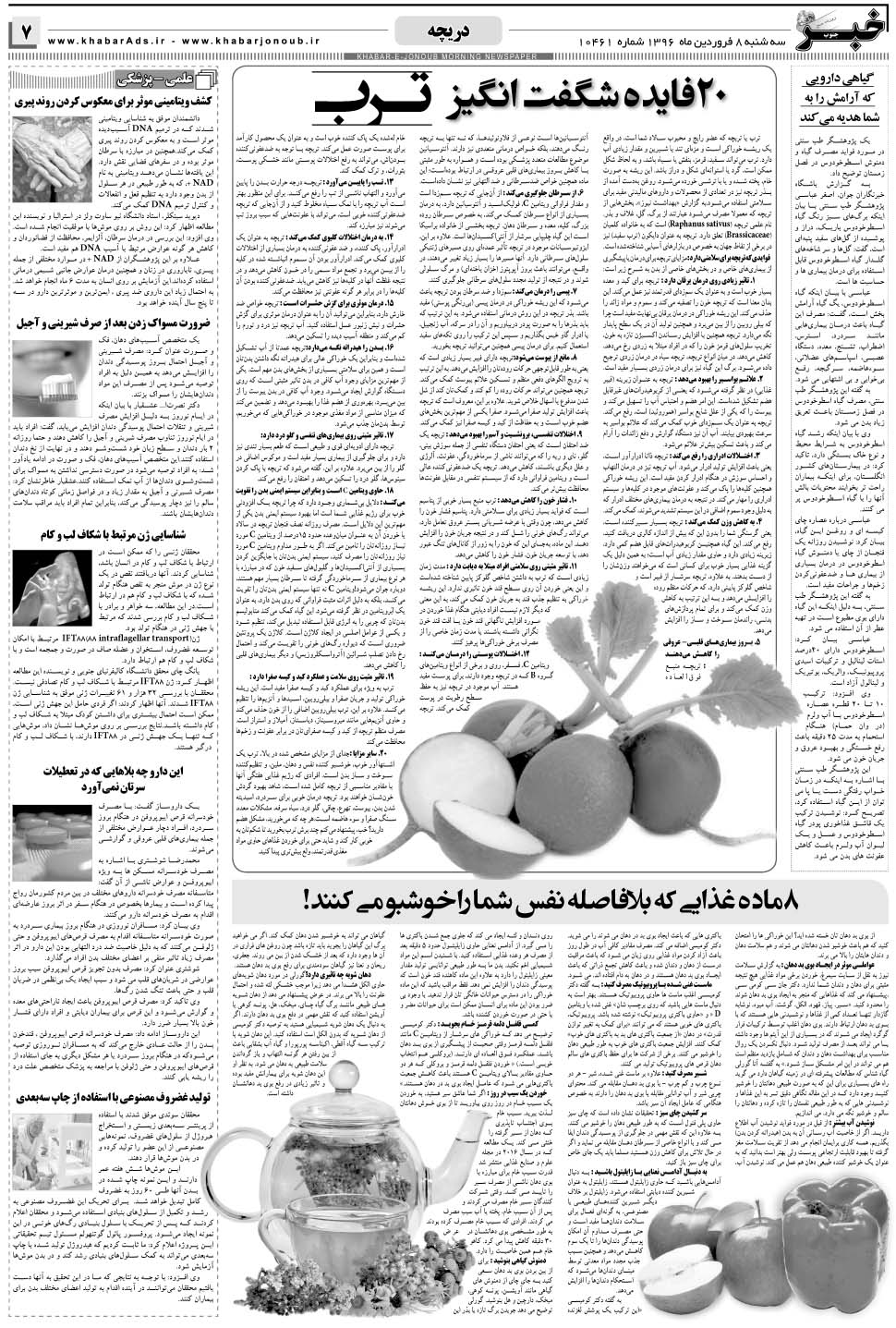مشاهده صفحه ۷ روزنامه خبرجنوب تاریخ ۸  سال ۱۳۹۶