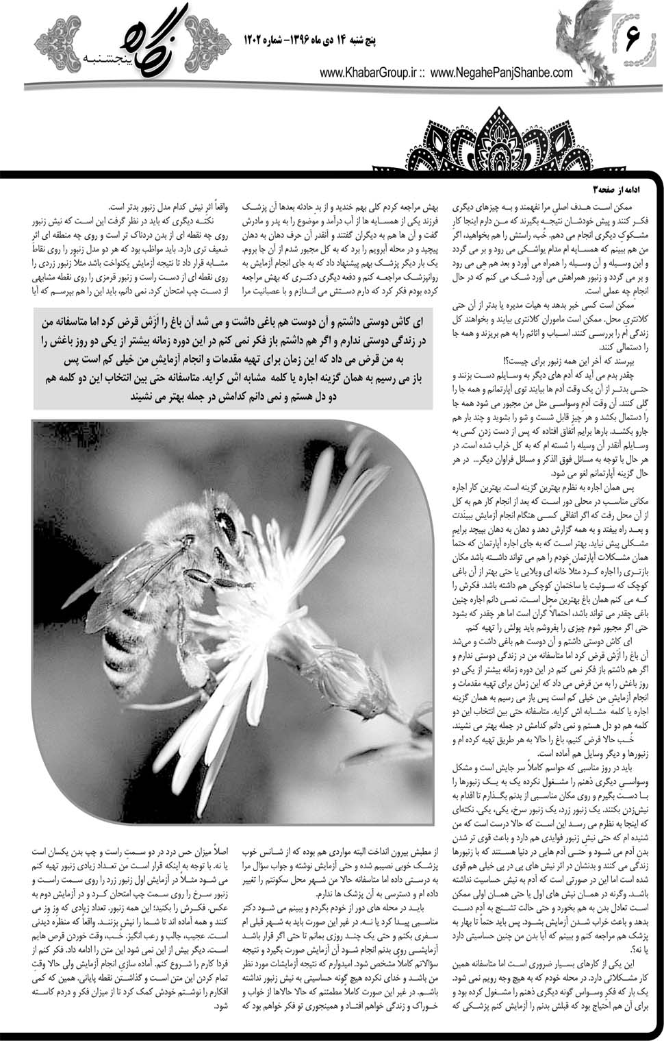 مشاهده صفحه ۴۲ روزنامه خبرجنوب تاریخ ۱۴ دی سال ۱۳۹۶