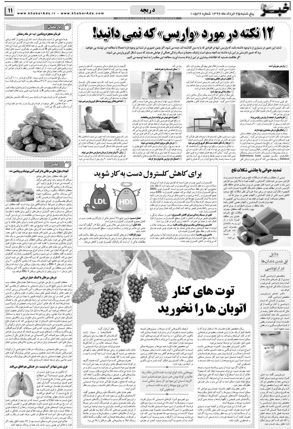 مشاهده صفحه ۱۱ روزنامه خبرجنوب تاریخ ۲۵  سال ۱۳۹۶