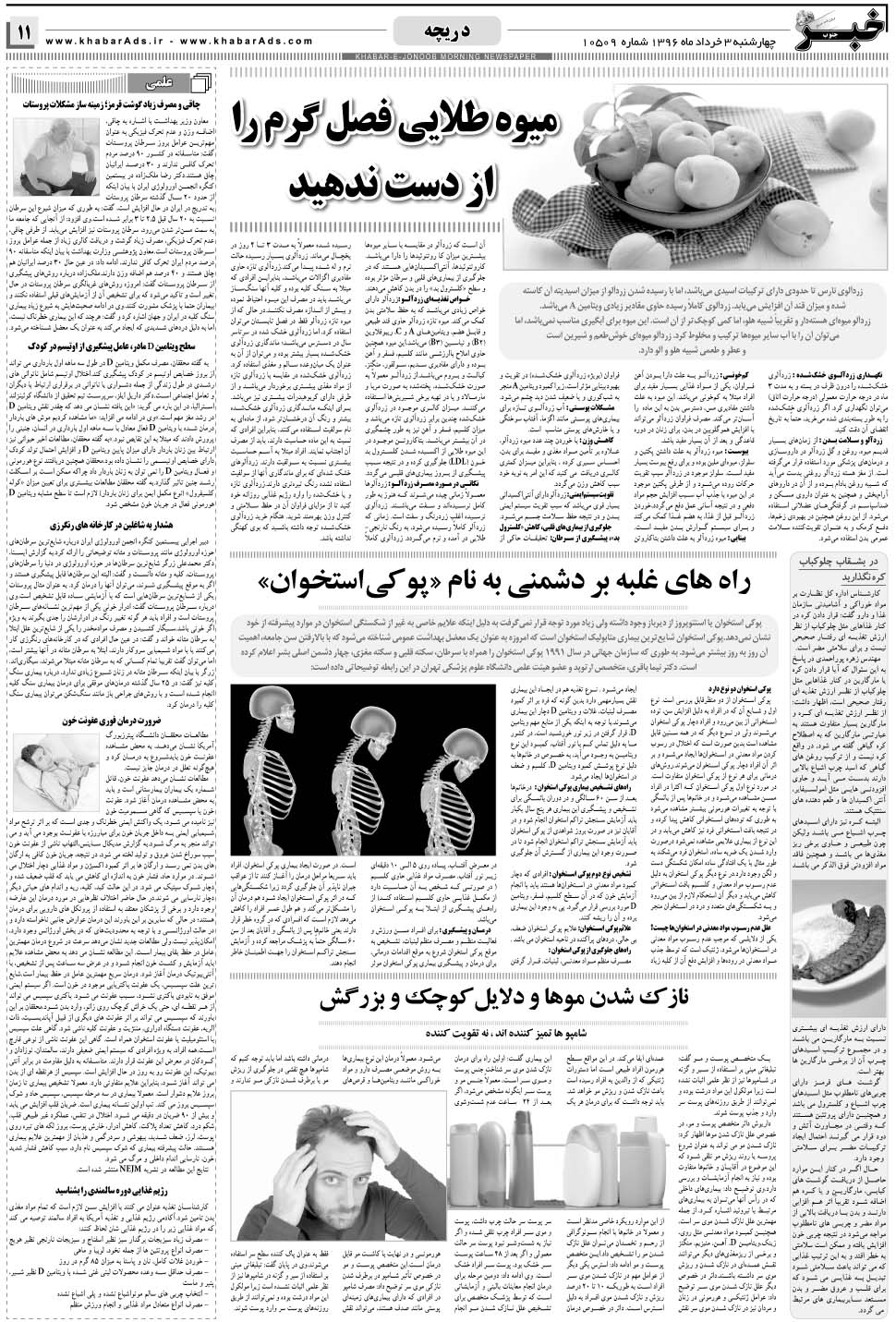 مشاهده صفحه ۱۱ روزنامه خبرجنوب تاریخ ۳  سال ۱۳۹۶