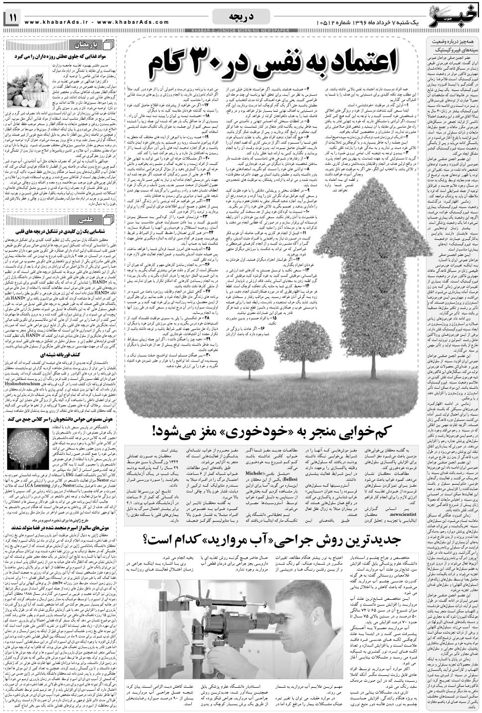 مشاهده صفحه ۱۱ روزنامه خبرجنوب تاریخ ۷  سال ۱۳۹۶