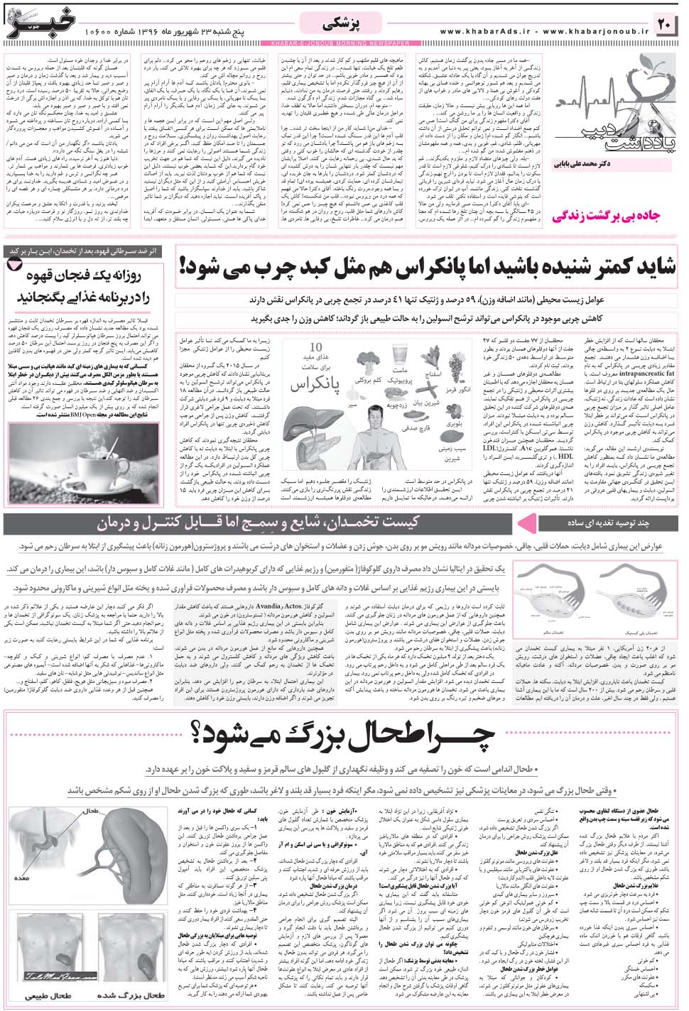 مشاهده صفحه ۲۰ روزنامه خبرجنوب تاریخ ۲۳  سال ۱۳۹۶