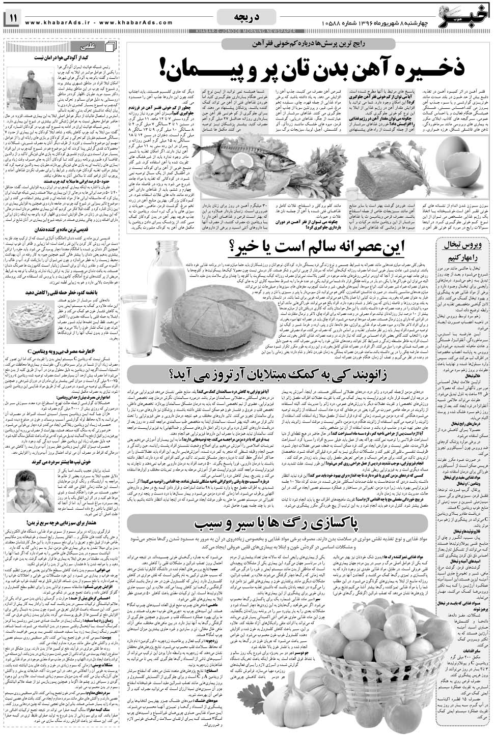 مشاهده صفحه ۱۱ روزنامه خبرجنوب تاریخ ۸  سال ۱۳۹۶