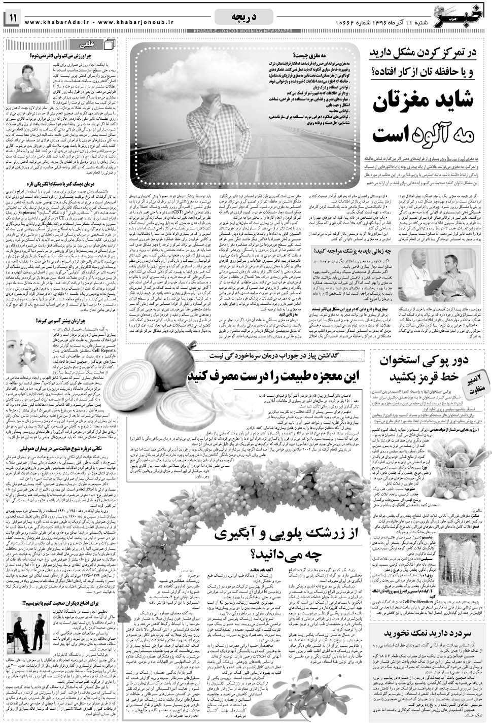 مشاهده صفحه ۱۱ روزنامه خبرجنوب تاریخ ۱۱  سال ۱۳۹۶
