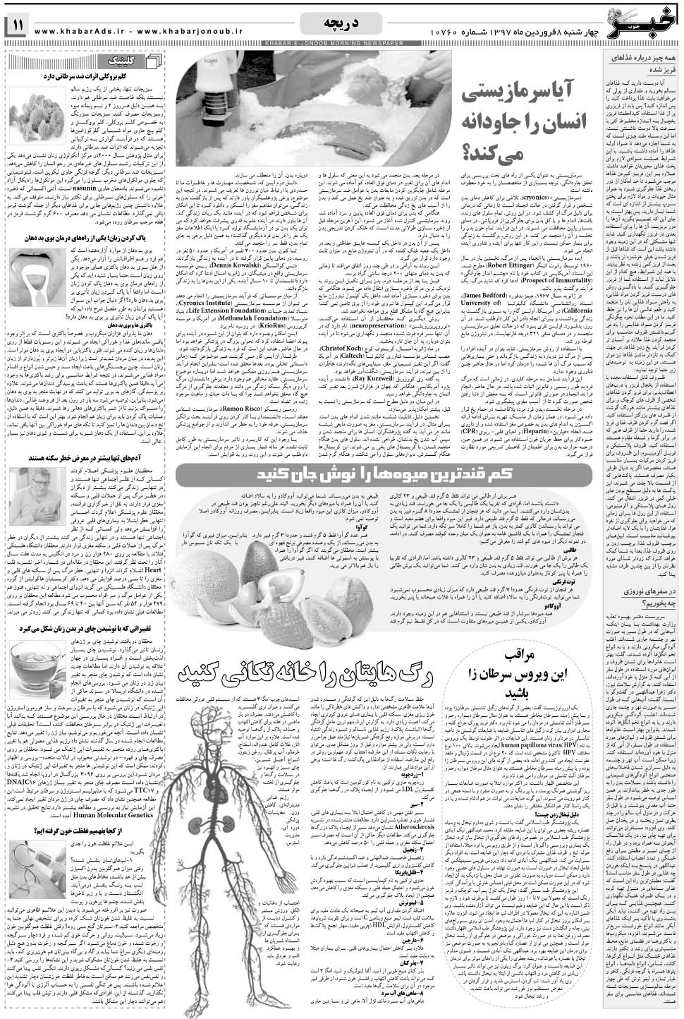 مشاهده صفحه ۱۱ روزنامه خبرجنوب تاریخ ۸  سال ۱۳۹۷