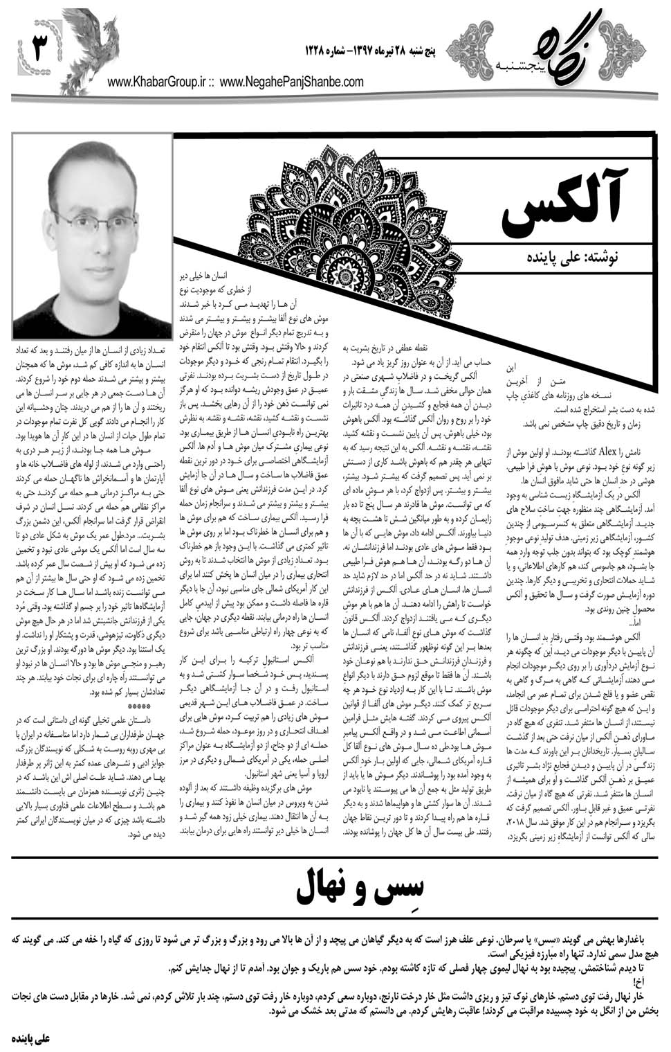 مشاهده صفحه ۳۱ روزنامه خبرجنوب تاریخ ۲۸  سال ۱۳۹۷