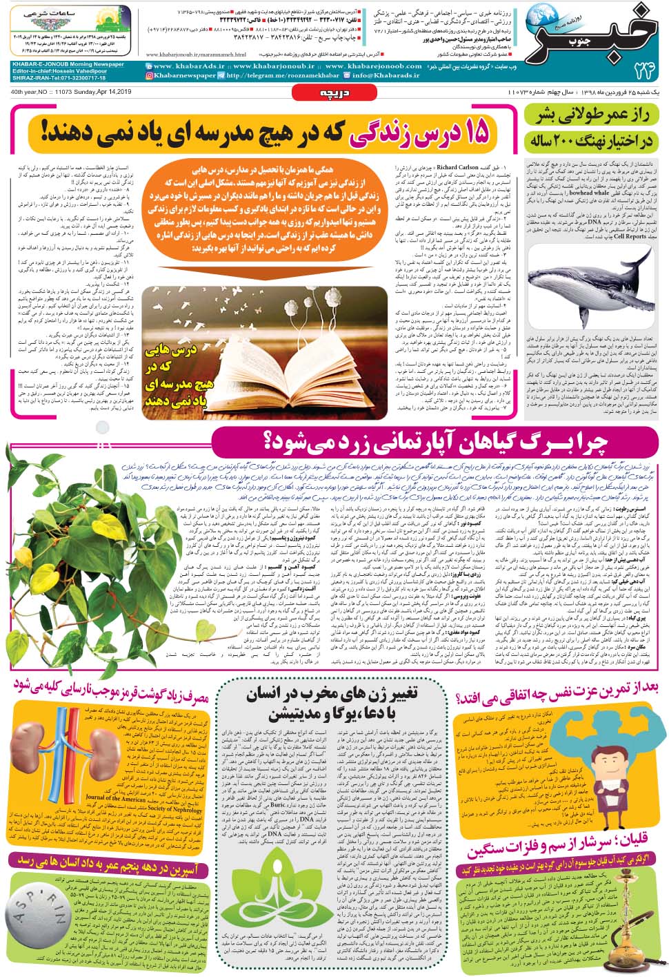 مشاهده صفحه ۲۴ روزنامه خبرجنوب تاریخ ۲۵  سال ۱۳۹۸