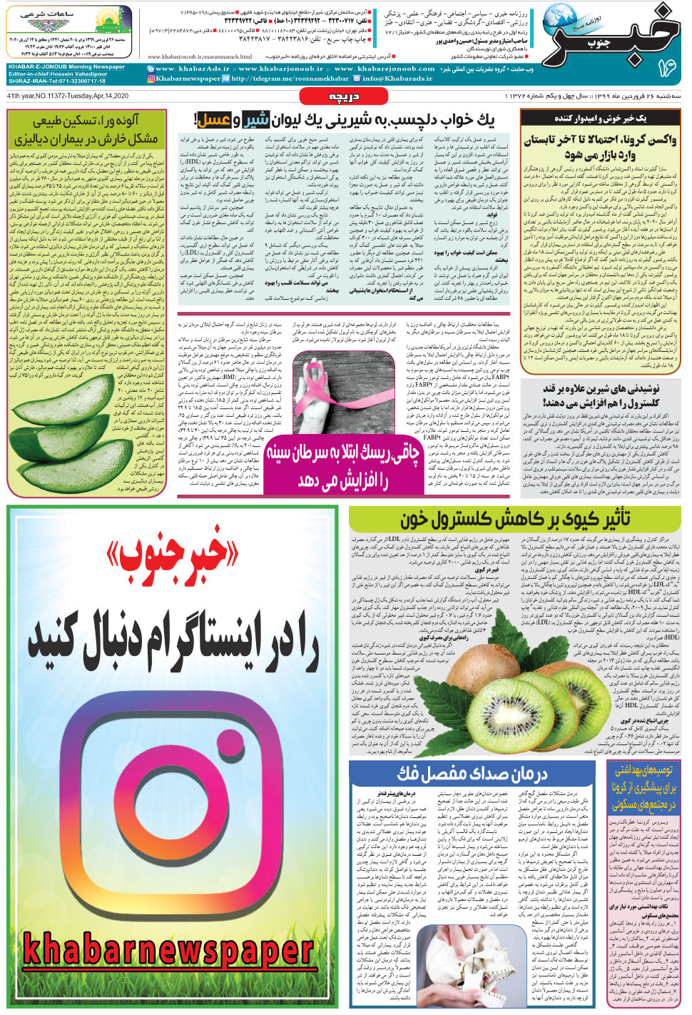 مشاهده صفحه ۱۶ روزنامه خبرجنوب تاریخ ۲۶  سال ۱۳۹۹