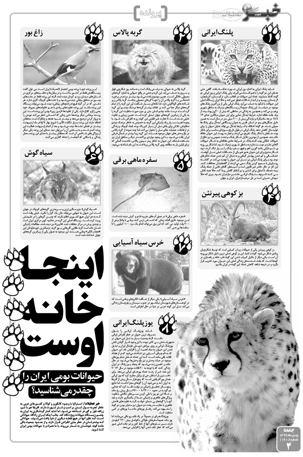 مشاهده صفحه ۴ روزنامه خبرجنوب تاریخ ۵ دی سال ۱۳۹۹