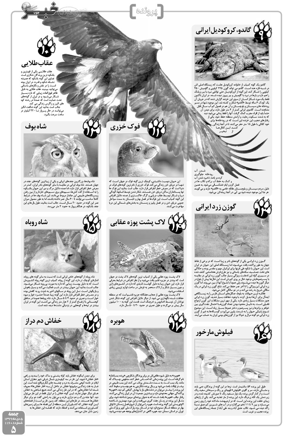 مشاهده صفحه ۵ روزنامه خبرجنوب تاریخ ۵ دی سال ۱۳۹۹