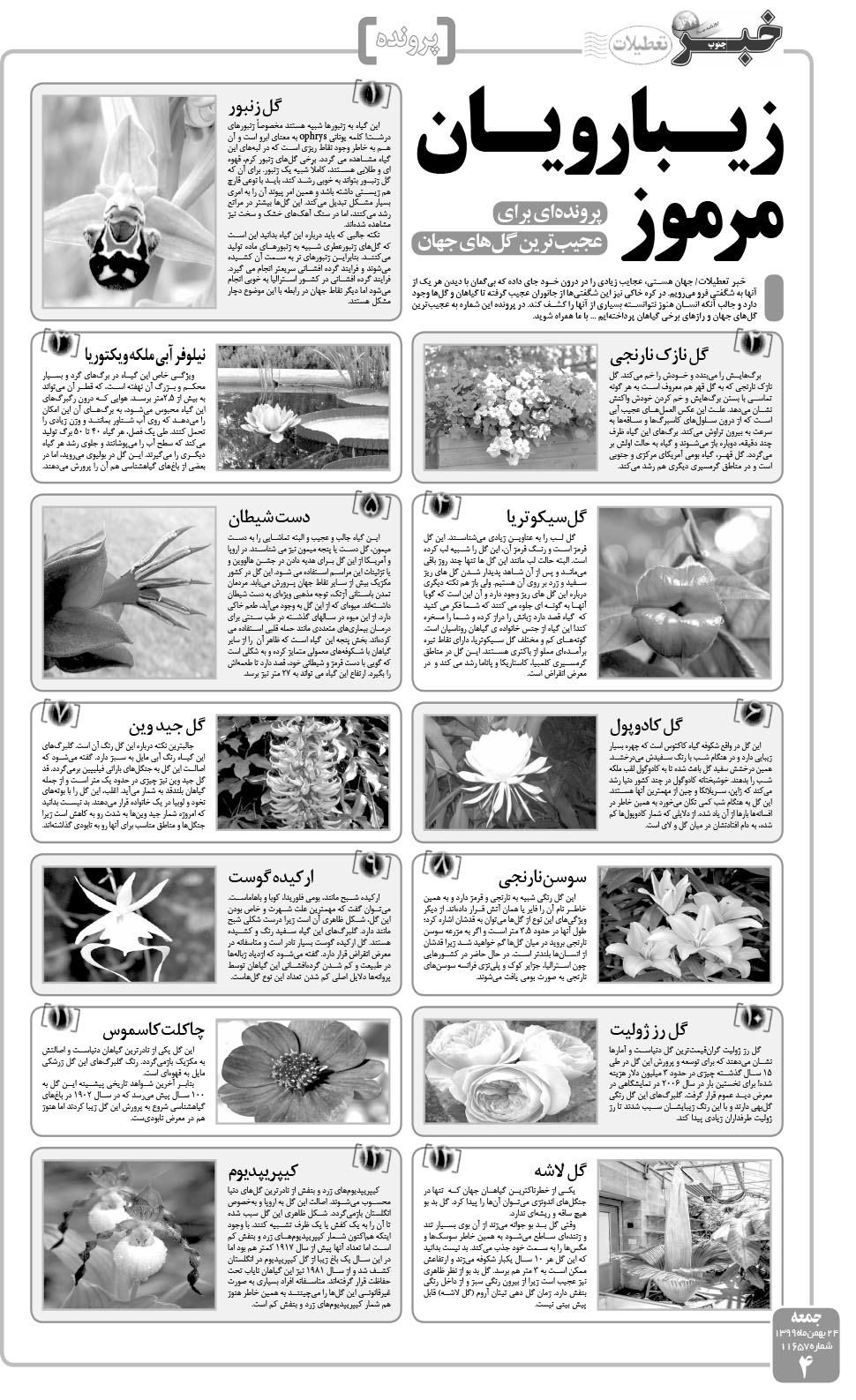مشاهده صفحه ۴ روزنامه خبرجنوب تاریخ ۲۴ بهمن سال ۱۳۹۹