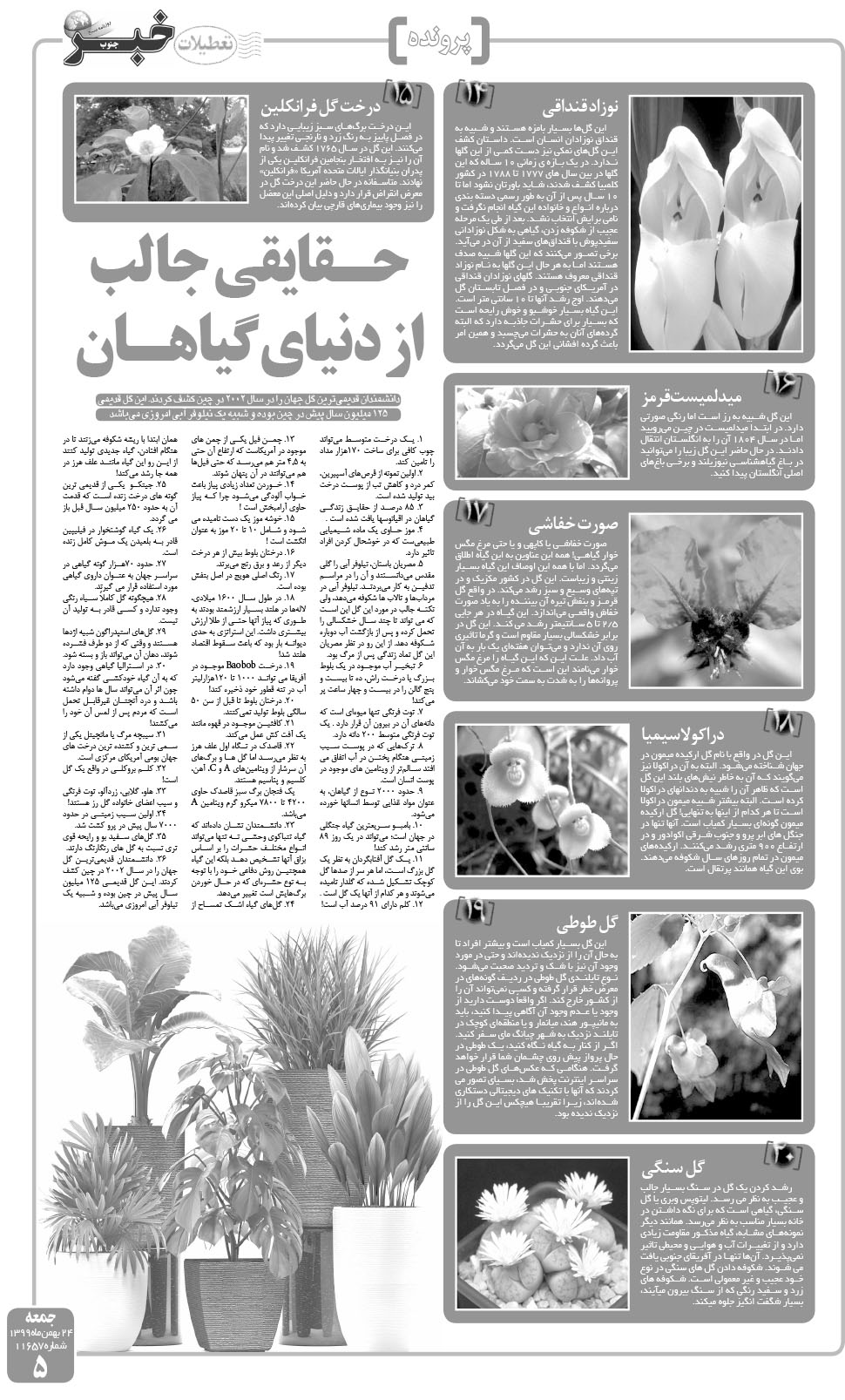 مشاهده صفحه ۵ روزنامه خبرجنوب تاریخ ۲۴ بهمن سال ۱۳۹۹