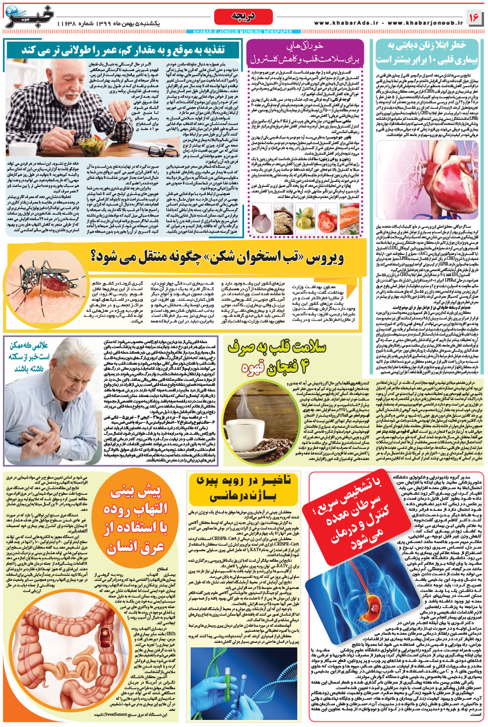 مشاهده صفحه ۱۶ روزنامه خبرجنوب تاریخ ۵ بهمن سال ۱۳۹۹