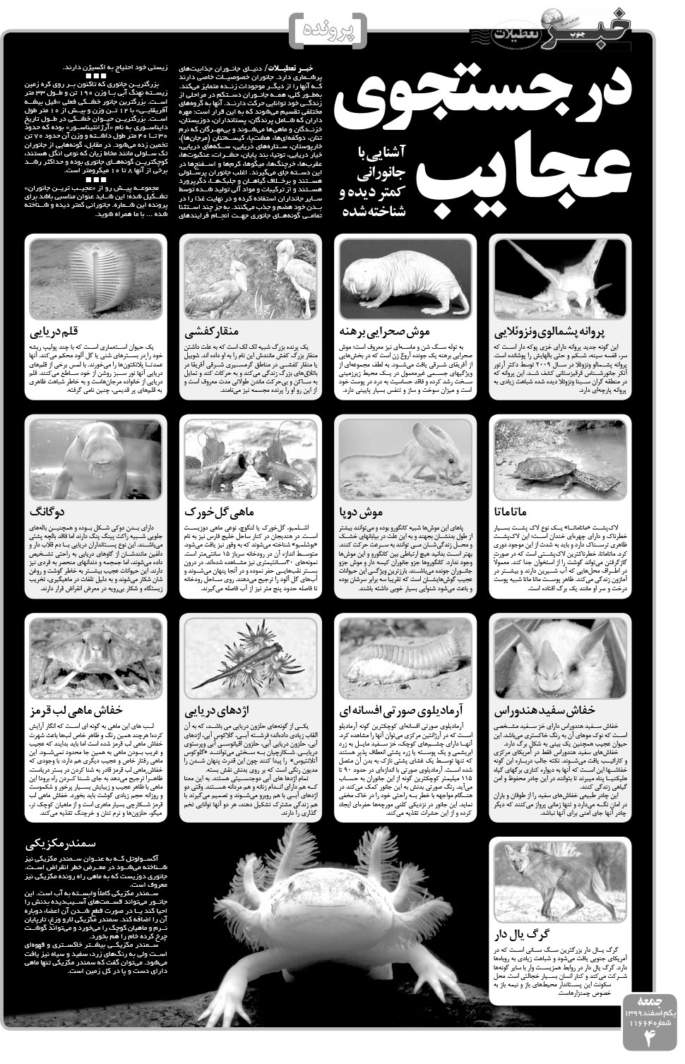 مشاهده صفحه ۴ روزنامه خبرجنوب تاریخ ۱ اسفند سال ۱۳۹۹