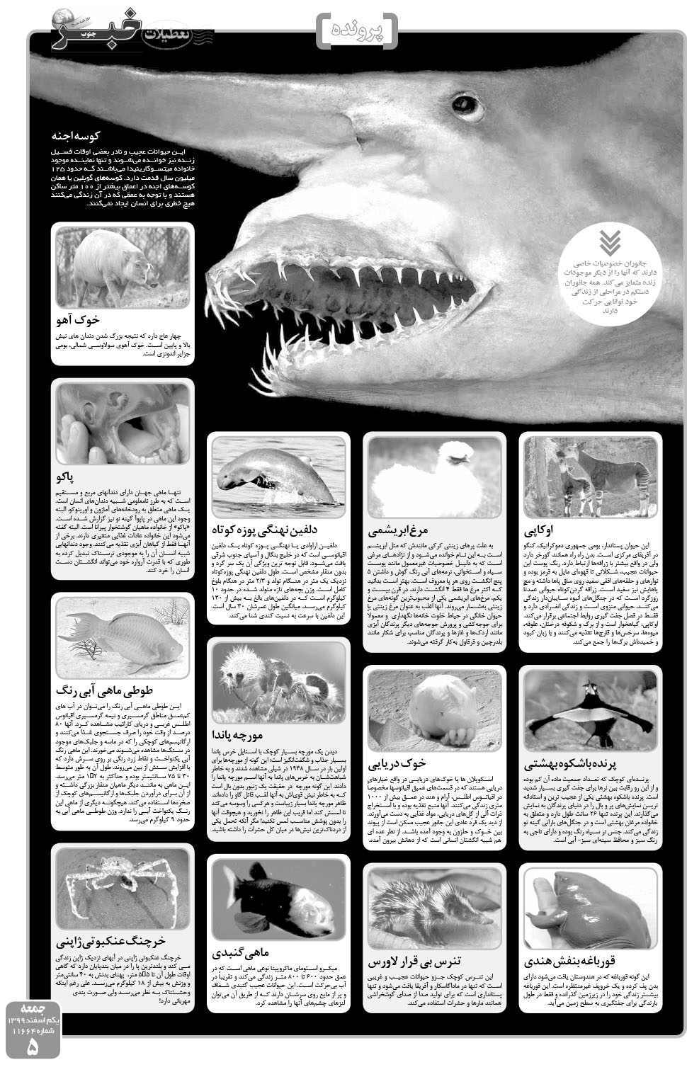 مشاهده صفحه ۵ روزنامه خبرجنوب تاریخ ۱ اسفند سال ۱۳۹۹