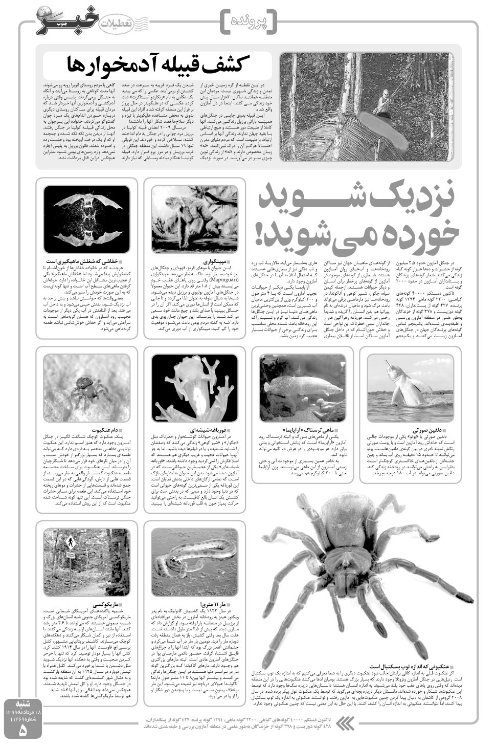 مشاهده صفحه ۵ روزنامه خبرجنوب تاریخ ۱۸  سال ۱۳۹۹