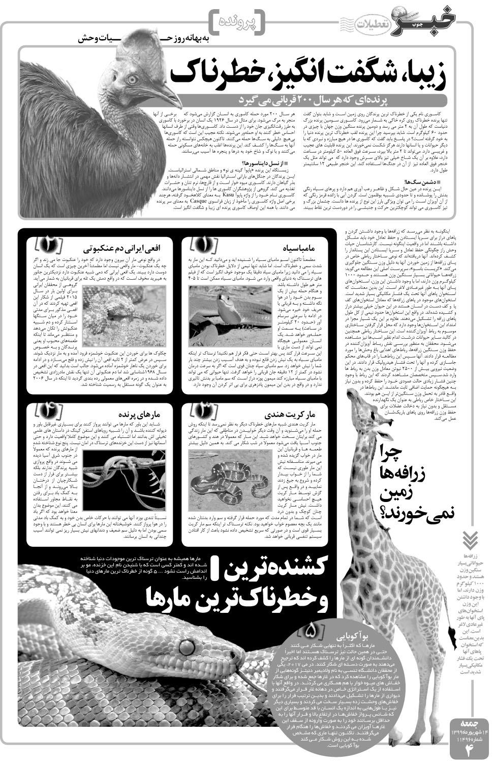 مشاهده صفحه ۴ روزنامه خبرجنوب تاریخ ۱۴  سال ۱۳۹۹