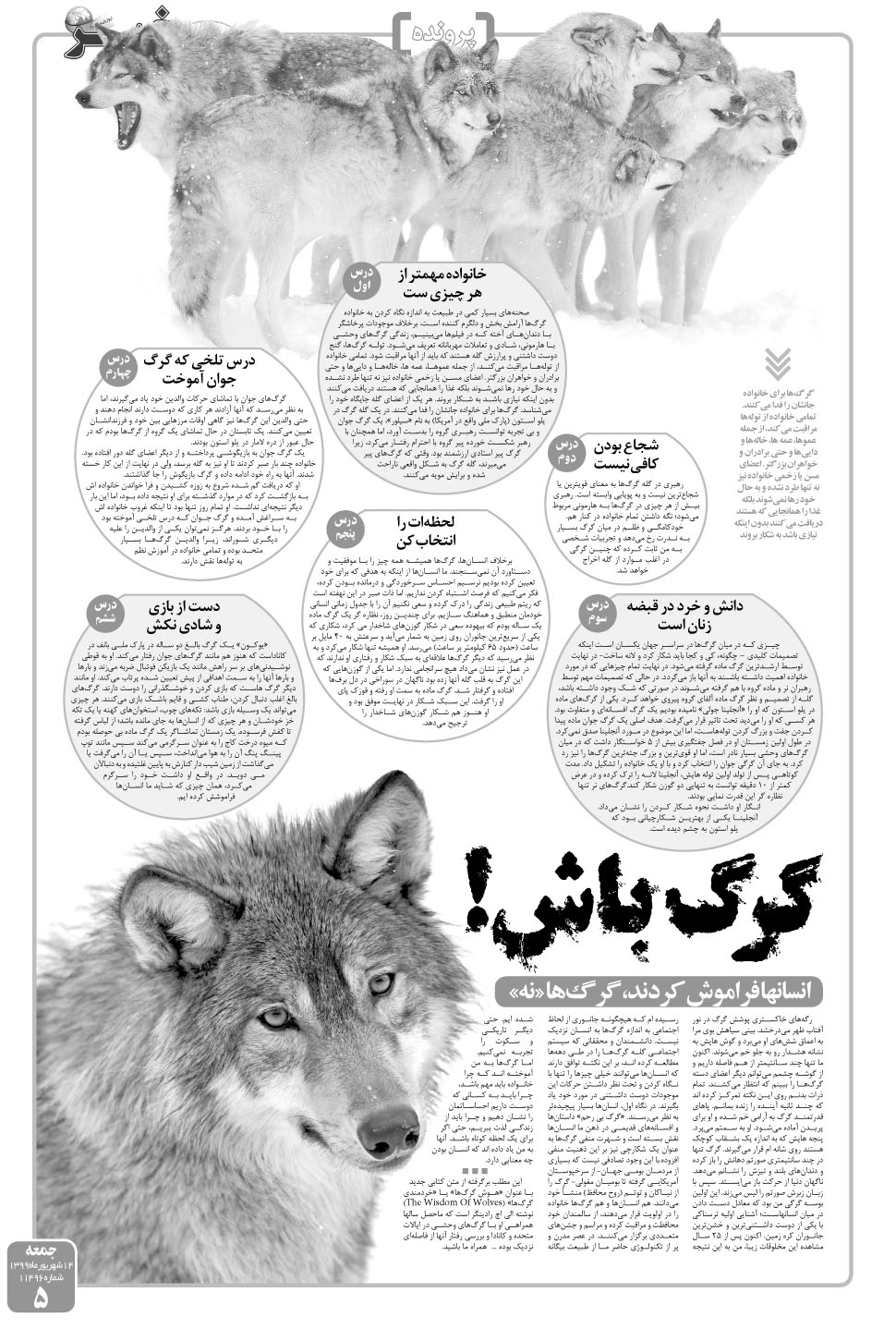 مشاهده صفحه ۵ روزنامه خبرجنوب تاریخ ۱۴  سال ۱۳۹۹
