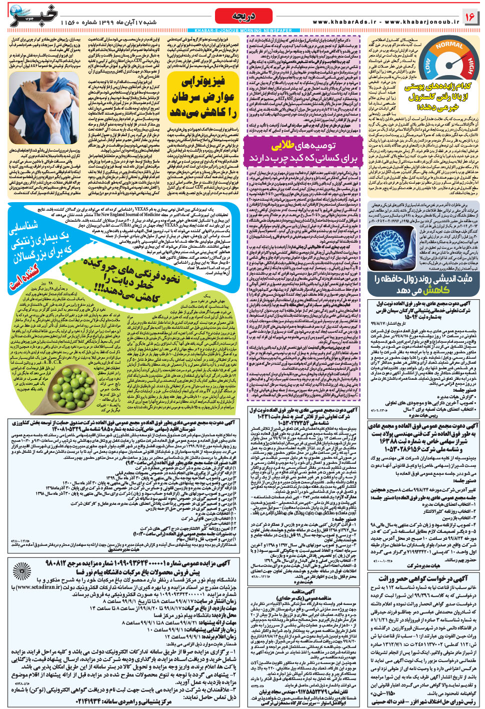مشاهده صفحه ۱۶ روزنامه خبرجنوب تاریخ ۱۷  سال ۱۳۹۹