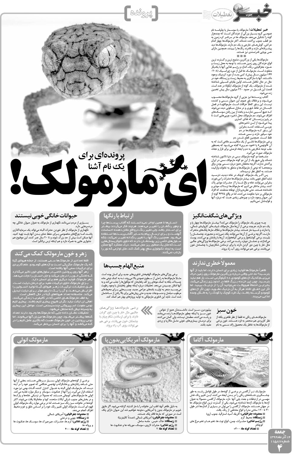 مشاهده صفحه ۴ روزنامه خبرجنوب تاریخ ۱۴  سال ۱۳۹۹