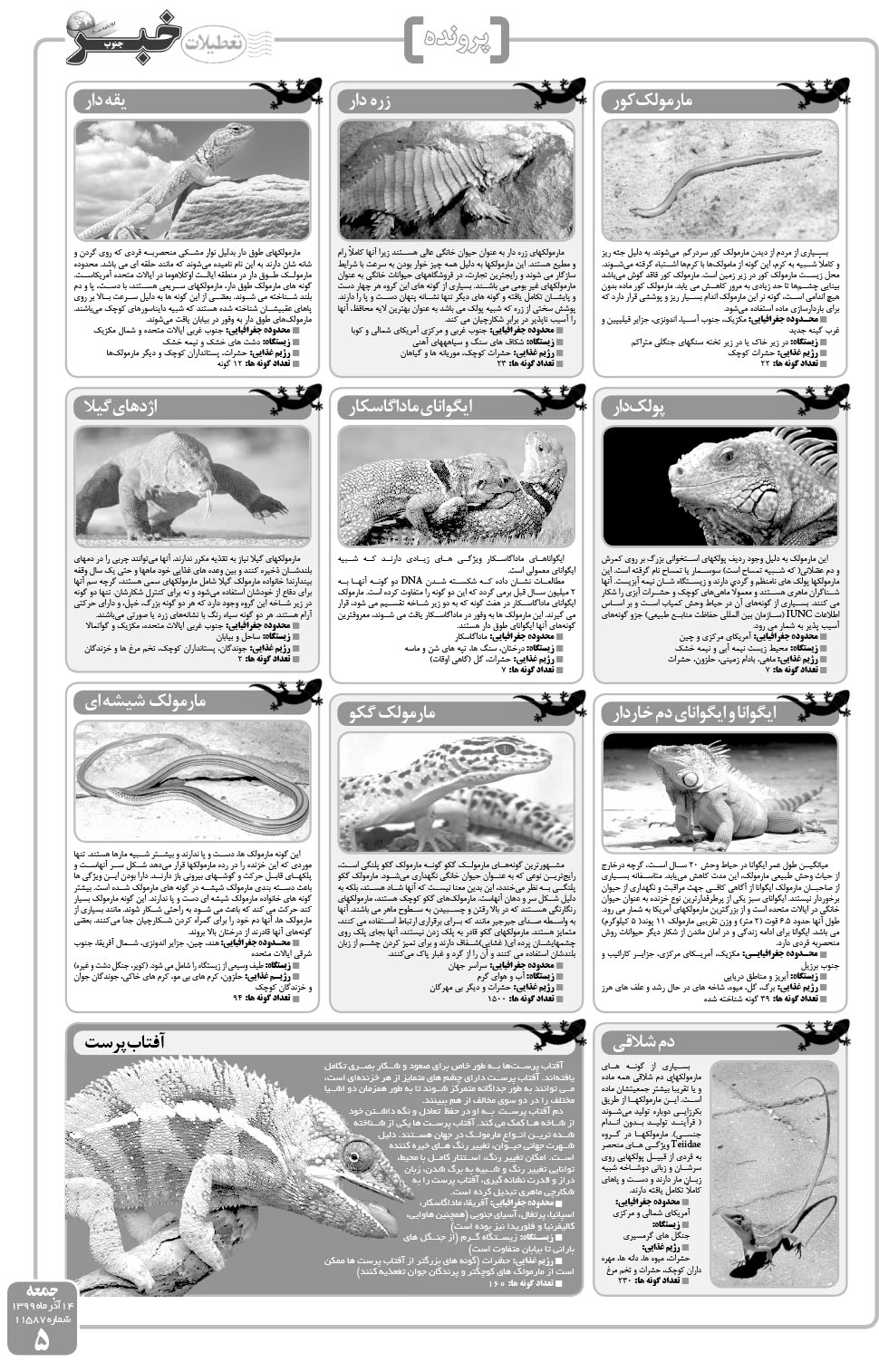 مشاهده صفحه ۵ روزنامه خبرجنوب تاریخ ۱۴  سال ۱۳۹۹