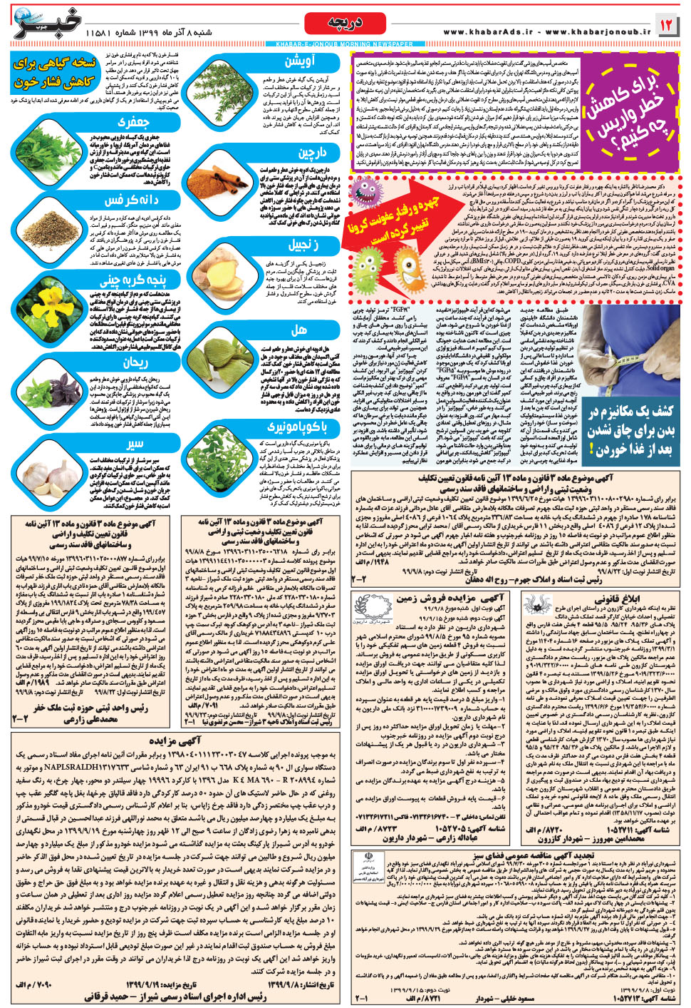 مشاهده صفحه ۱۲ روزنامه خبرجنوب تاریخ ۸  سال ۱۳۹۹