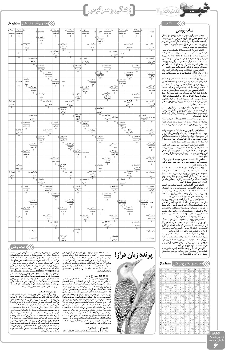 مشاهده صفحه ۶ روزنامه خبرجنوب تاریخ ۲۱  سال ۱۴۰۰