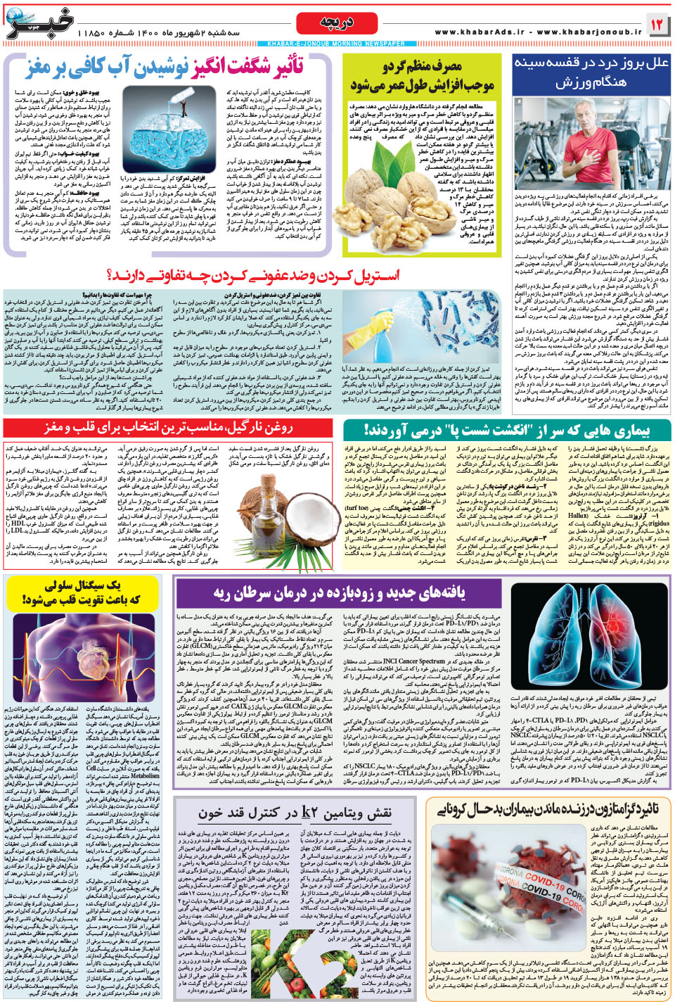 مشاهده صفحه ۱۲ روزنامه خبرجنوب تاریخ ۲  سال ۱۴۰۰